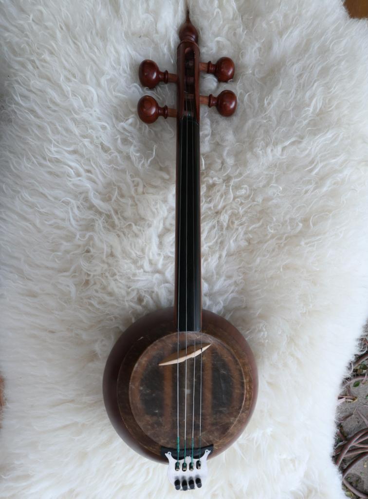 Kamanche, Musique & Instruments, Instruments à cordes frottées | Autre, Comme neuf, Enlèvement