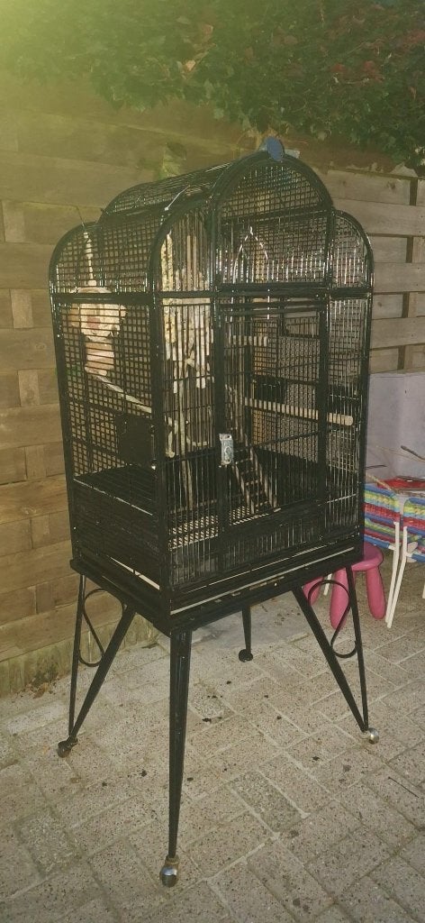Vogelkooi met onderstel, Enlèvement, Utilisé, Métal, Cage à oiseaux
