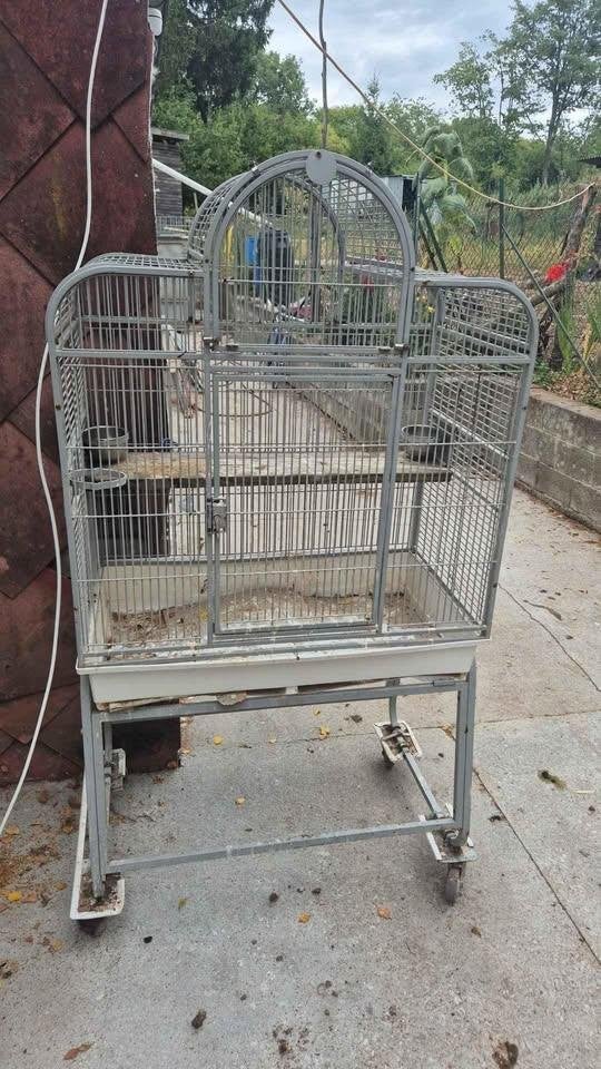 Cage pour perruches, Animaux & Accessoires, Oiseaux | Cages & Volières, Enlèvement, Utilisé, Métal, Cage à oiseaux