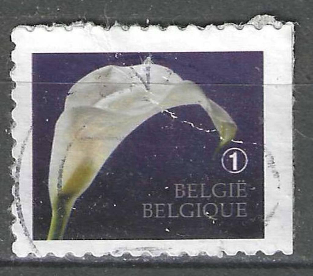 Belgie 2014 - Yvert 4347 /OBP 4368 - Rouwzegel (ST), Postzegels en Munten, Verzenden, Gestempeld, Gestempeld