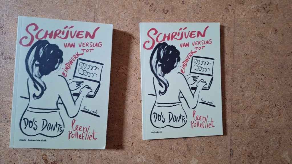 Boek schrijven van verslag tot eindwerk, Boeken, Ophalen, Zo goed als nieuw, Leen Pollefliet