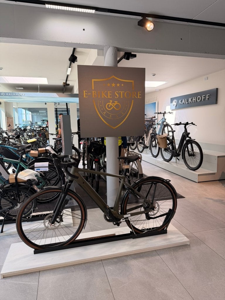 Riese & Müller UBN Five Commute, 51 à 55 cm, Info@ebikeasse.be, 50 km par batterie ou plus, Riese & Müller