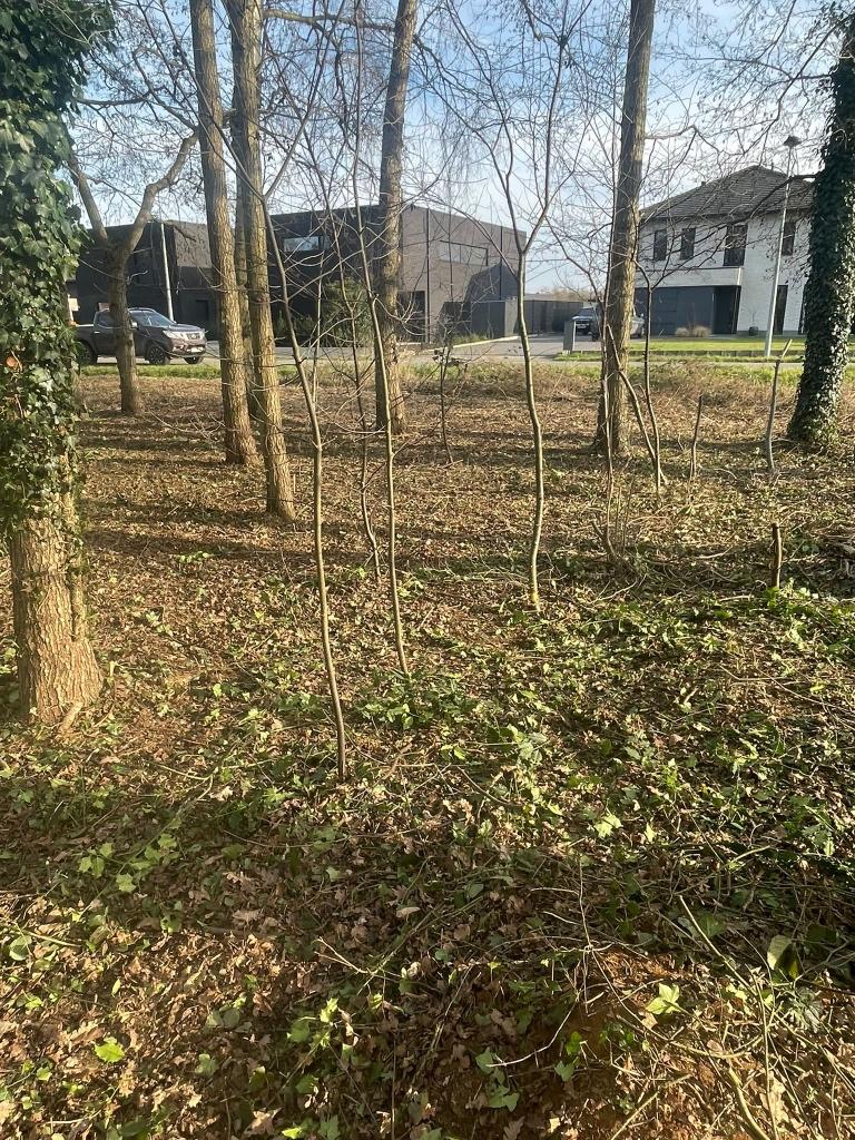 terrain à bâtir, Booischot, Ventes sans courtier, 500 à 1000 m²