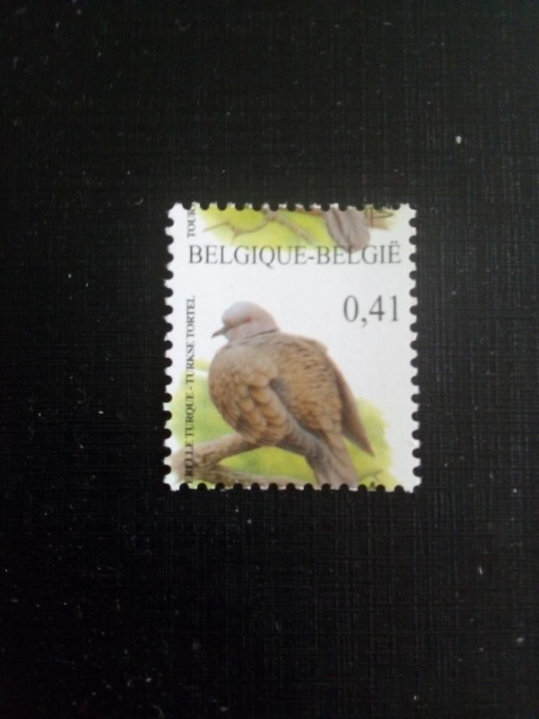 Belgique timbre oiseau buzin curiosité, Non oblitéré, Timbre-poste, Envoi, Neuf