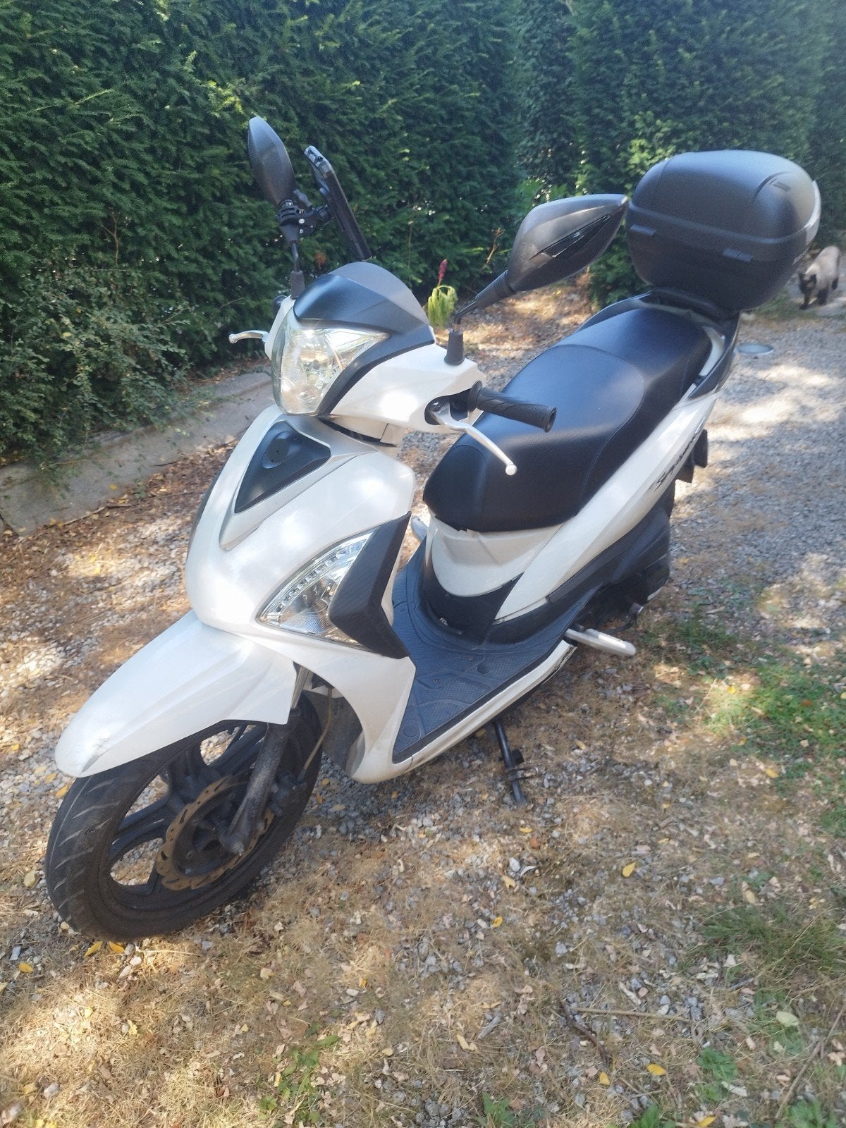 Sym Symphony 125 cc – État impeccable & Équipements neufs, Vélos & Vélomoteurs, Enlèvement