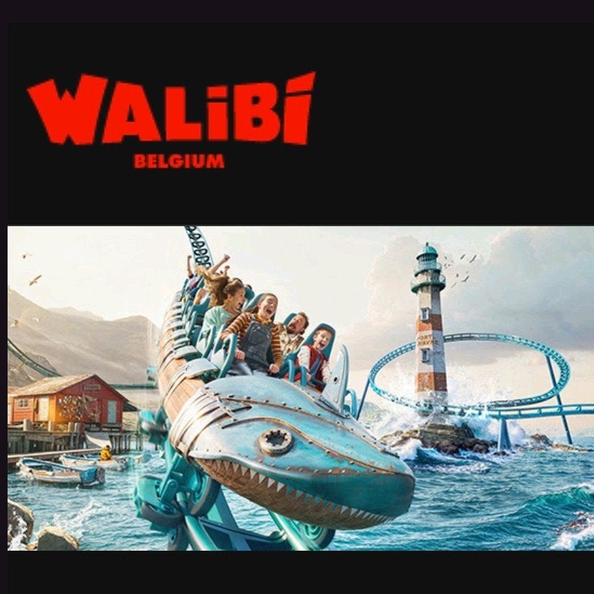 1 Walibi Belgium-ticket, Tickets en Kaartjes, Overige Tickets en Kaartjes