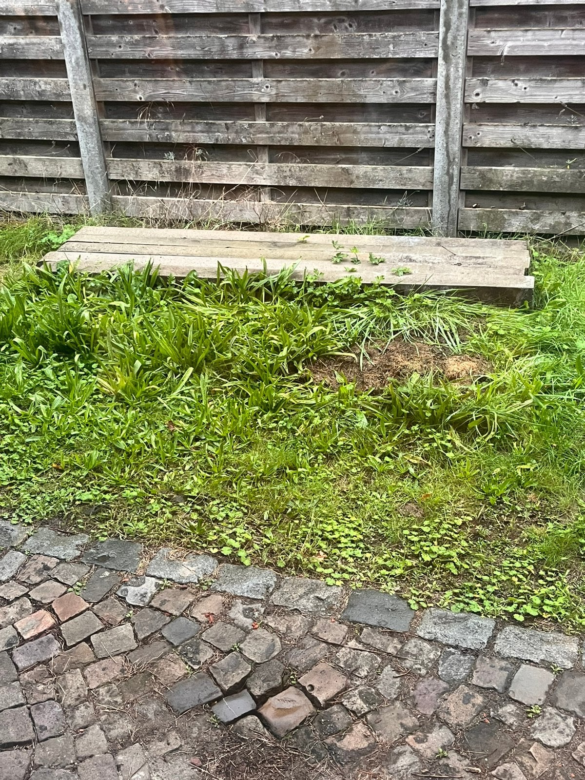 Betonpalen  voor schutting 5st, Tuin en Terras, Ophalen, Gebruikt, 180 tot 250 cm, Palen