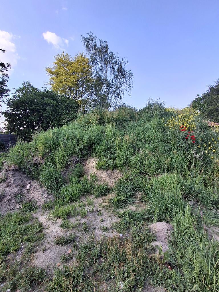 GRATIS grond op te halen in Wespelaar (Haacht), Tuin en Terras, Ophalen, Tuinaarde