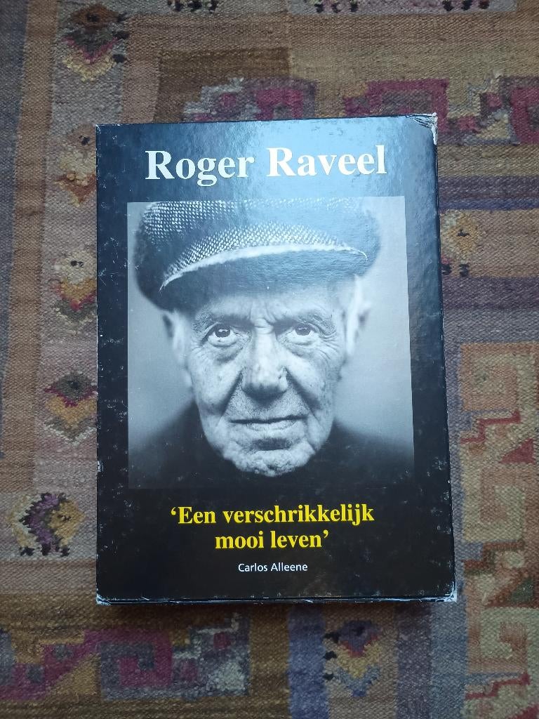 Roger Raveel, een verschrikkelijk mooi leven, twee delen, Ophalen of Verzenden