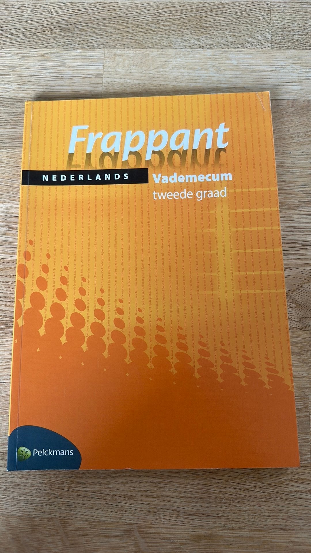 Frappant Nederlands 2e graad Vademecum, Boeken, Ophalen, Nederlands