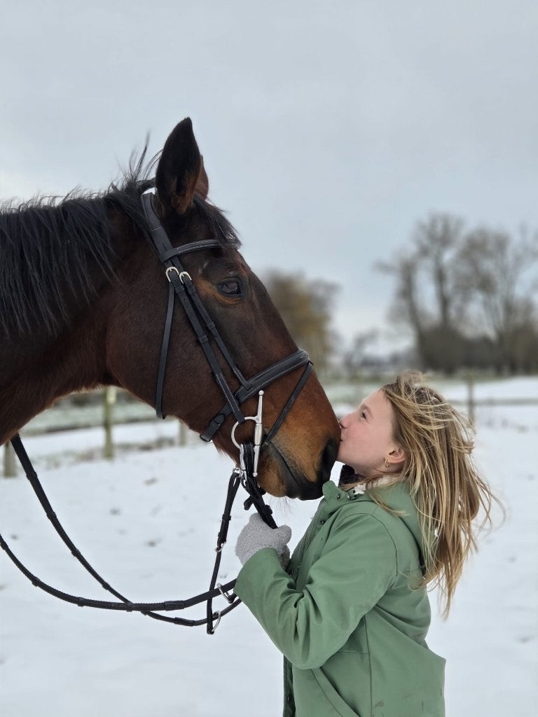 paard, Minder dan 160 cm, 11 jaar of ouder, Recreatiepaard, Merrie