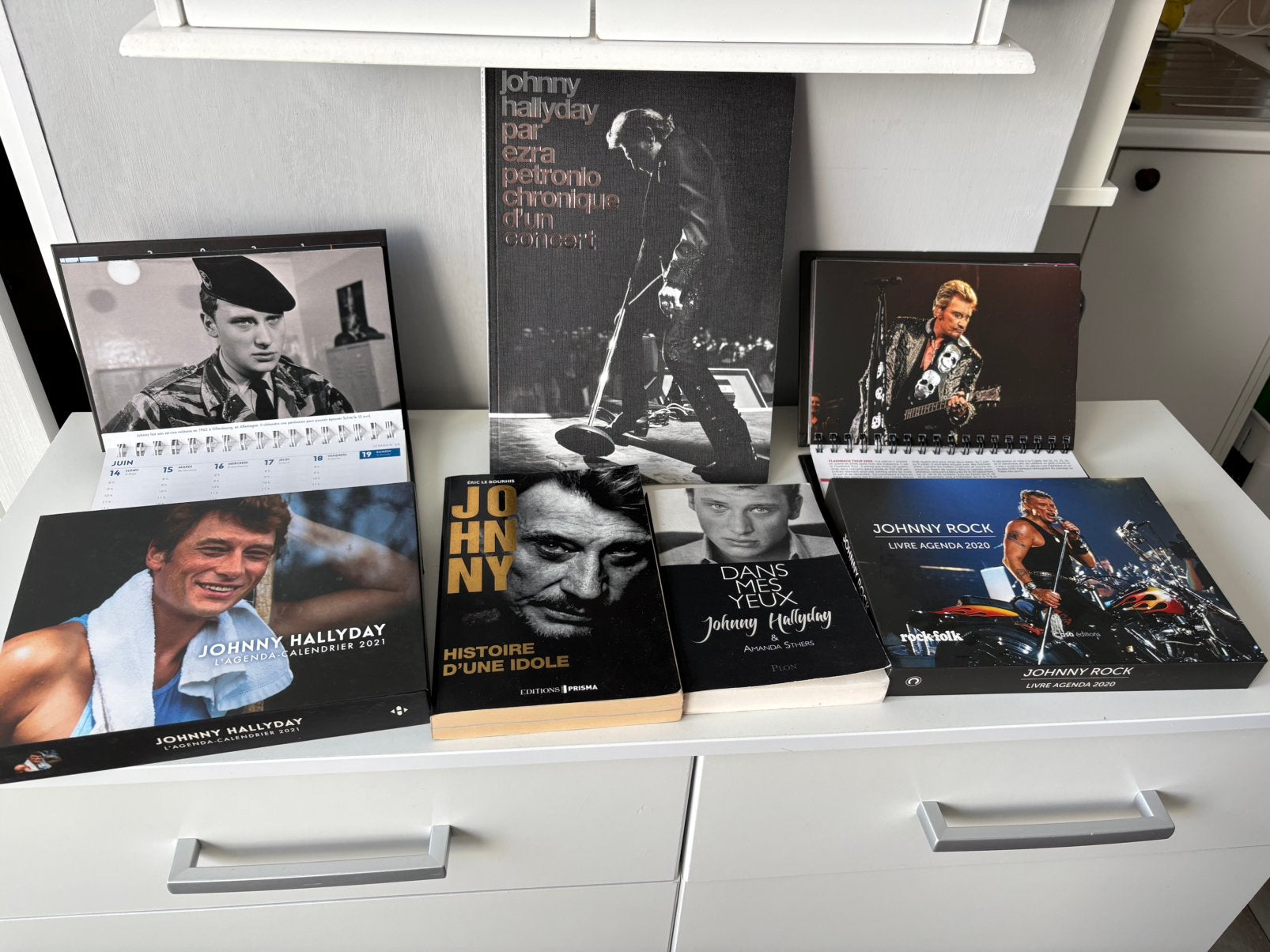 3 boeken en boeken/dagboeken JOHNNY HALLYDAY, Ophalen of Verzenden
