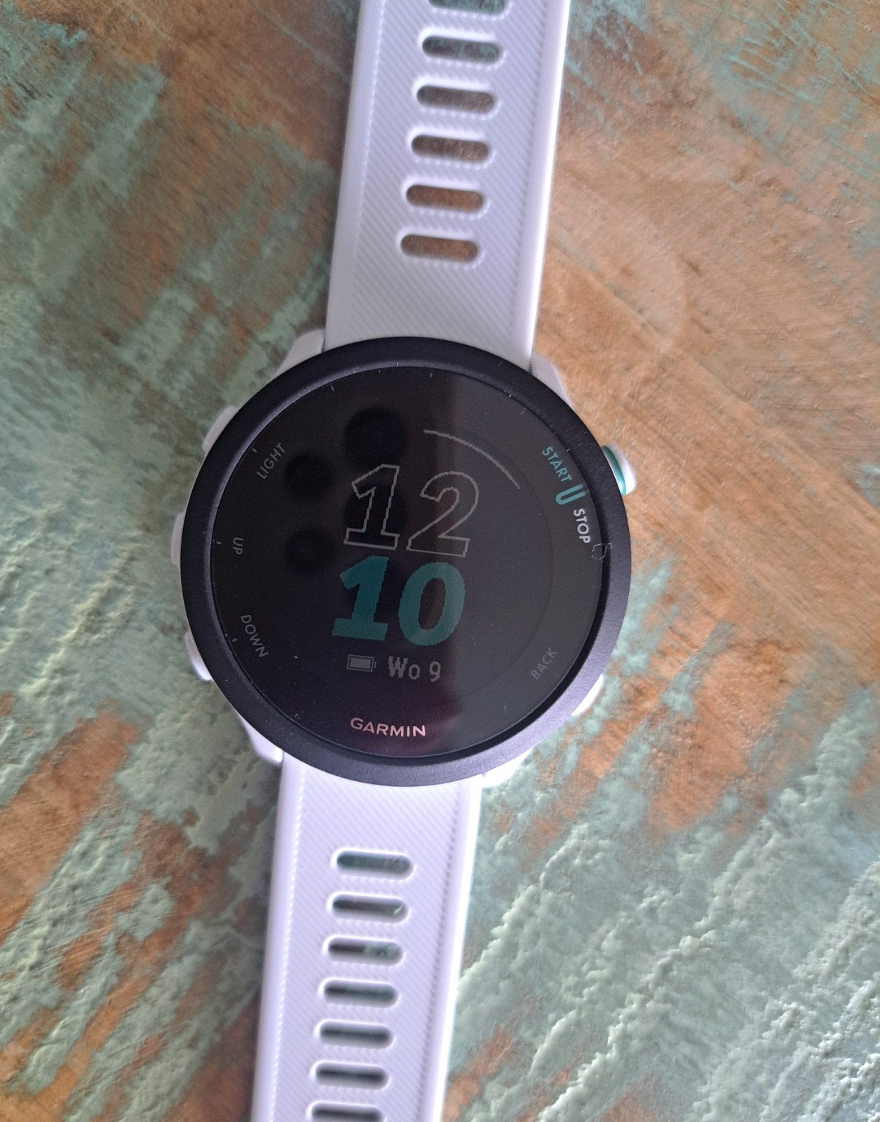 Garmin Forerunner 55, Bijoux, Sacs & Beauté, Montres de sport, Neuf, Étanche, Enlèvement ou Envoi, Garmin forerunner 55