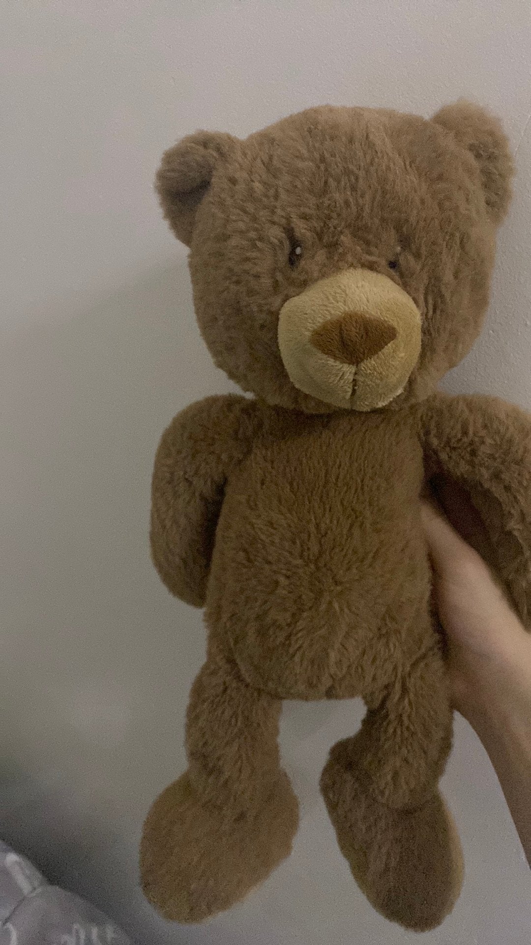 Teddy bear, Ophalen, Zo goed als nieuw