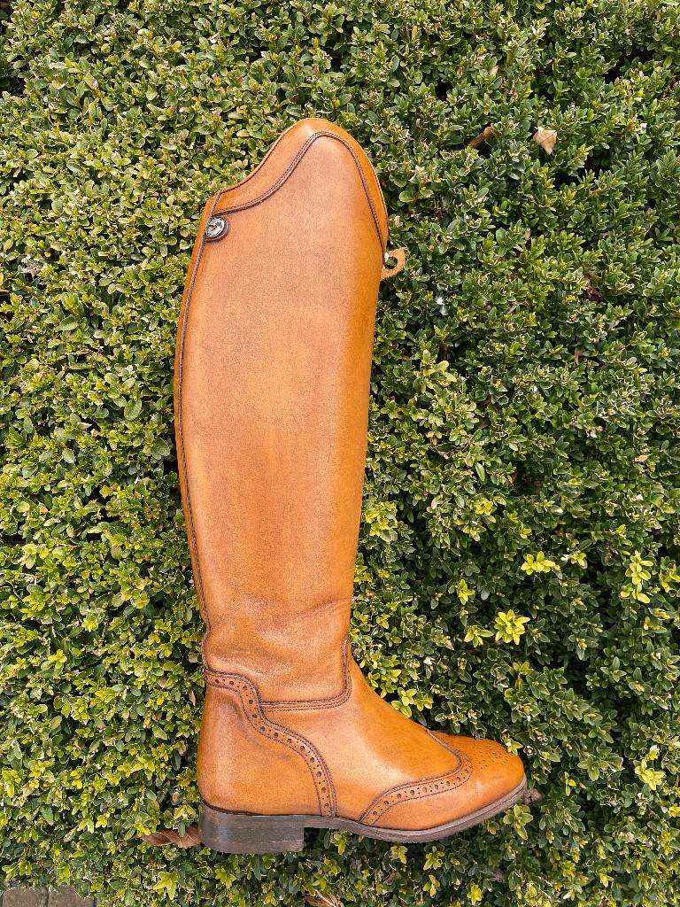 Paardrijlaarzen Celeris Pablo – maat 38, Animaux & Accessoires, Vêtements d'équitation, Comme neuf, Femmes, Chaussures, Enlèvement