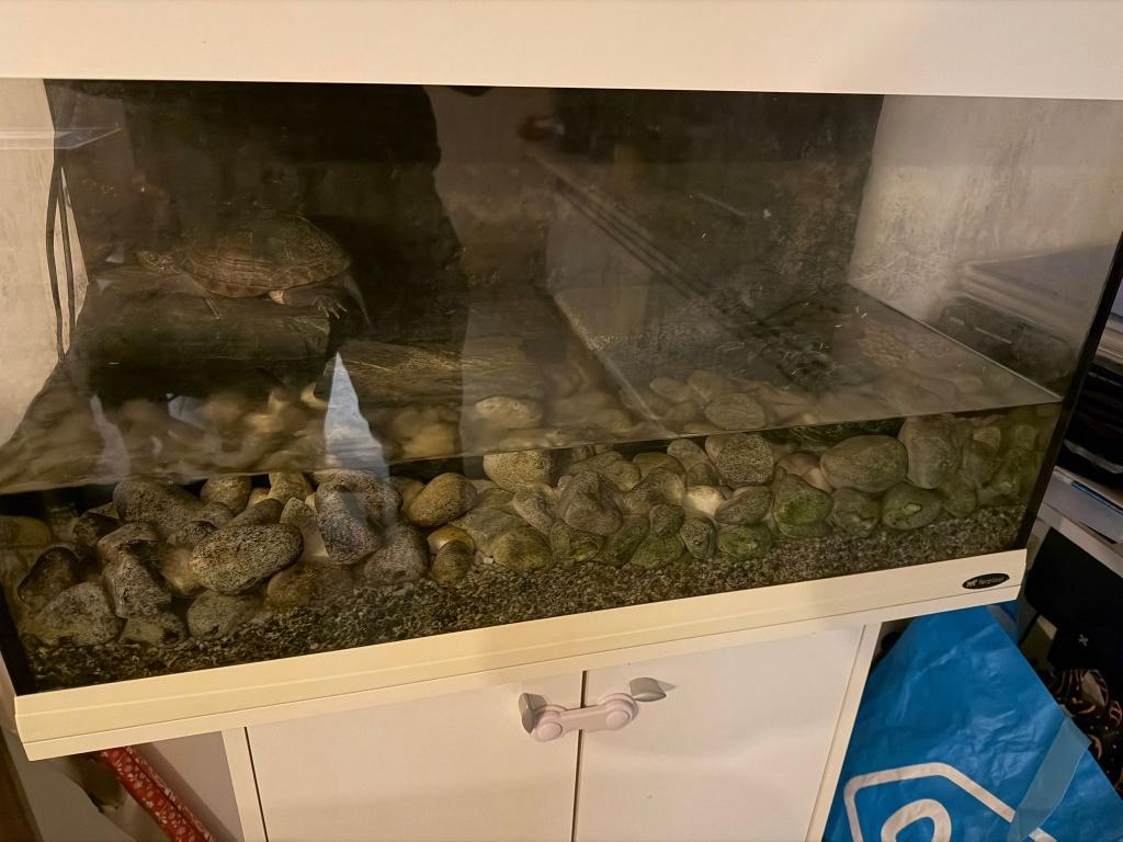Te koop aquarium, Ophalen, Pomp, Gebruikt