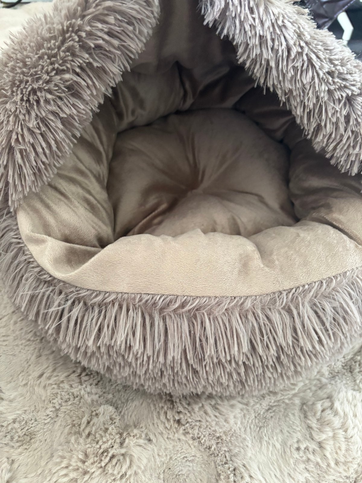Katten/hondenmand, Animaux & Accessoires, Enlèvement, Neuf, Poussière