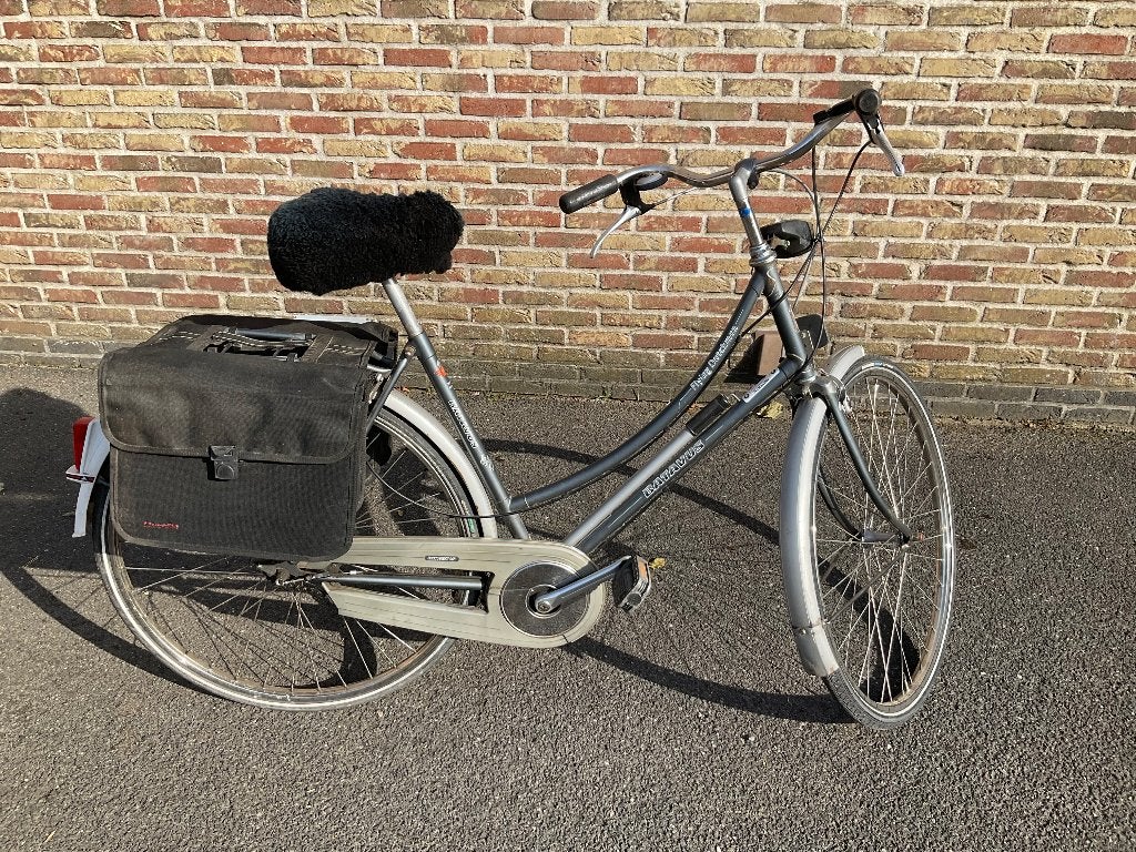 Dames fiets batavus, Accès (extra) bas, Frein sur jante, Batavus, Enlèvement