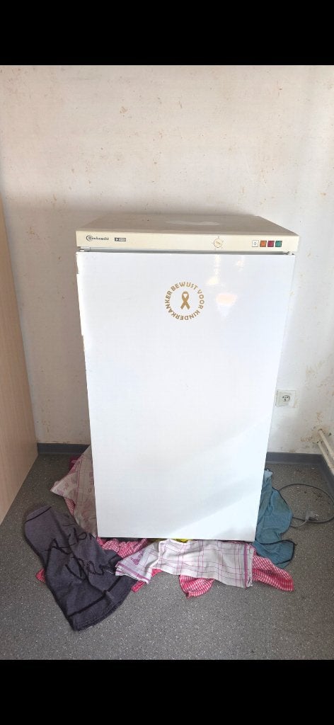 Diepvries, Elektronische apparatuur, Koelkasten en IJskasten, Ophalen, Gebruikt, Met vriesvak
