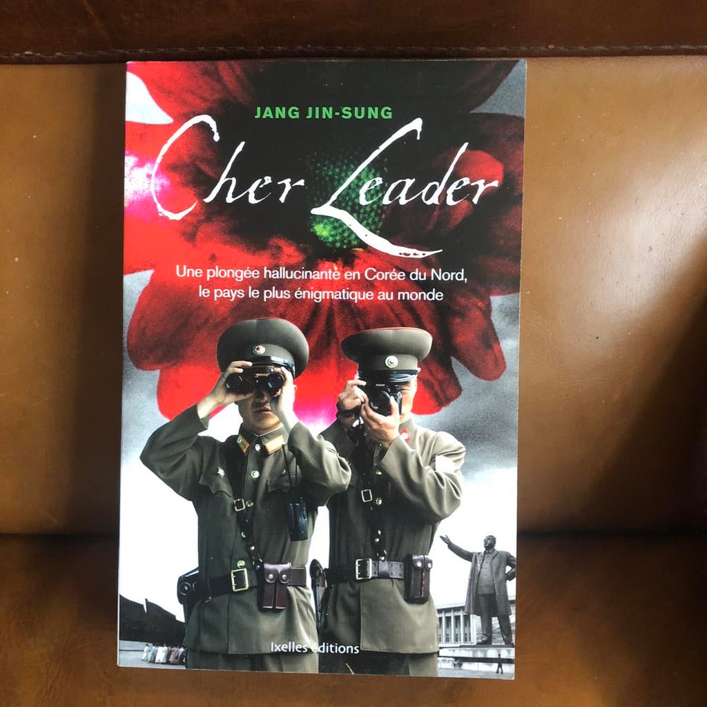 Cher Leader - Jan Jin-Sung, Enlèvement