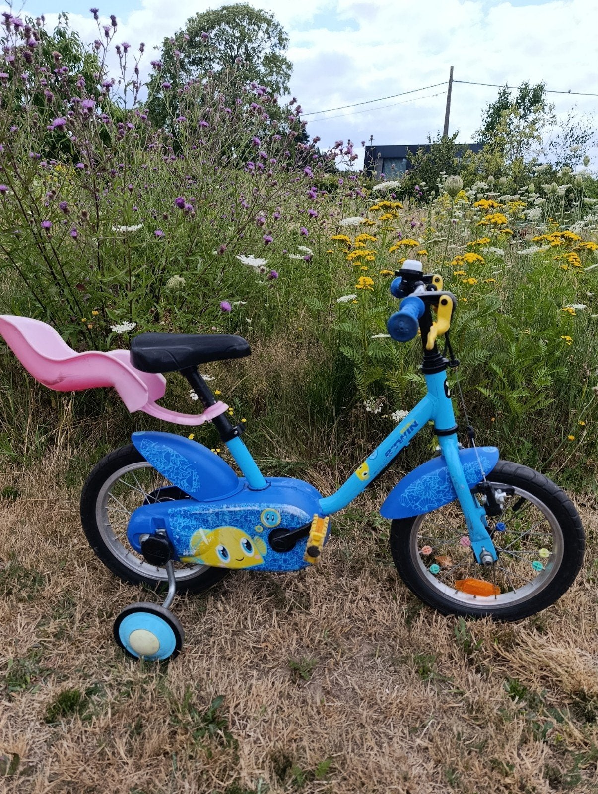 Blauw Kinderfietsjes met zijwieltjes, Fietsen en Brommers, Ophalen, Zijwieltjes