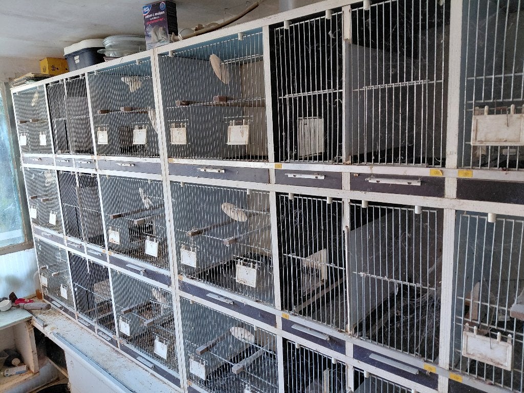 Vogel kweekkooien, Dieren en Toebehoren, Ophalen, Gebruikt, Overige materialen, Broedkooi of Kweekkooi