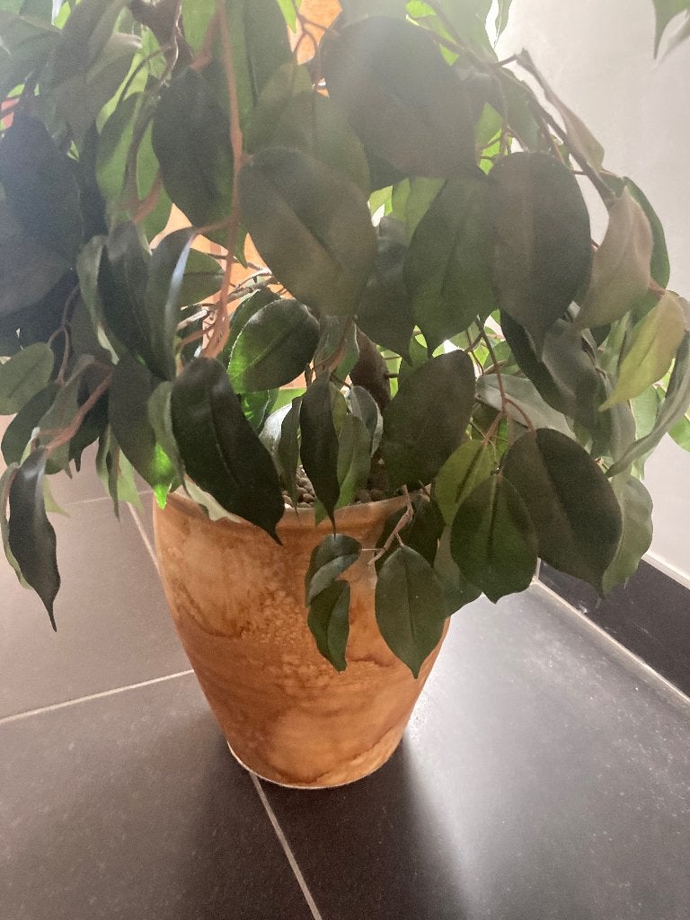 Sierplant met pot, Vert, 160 cm, Intérieur, Plante artificielle