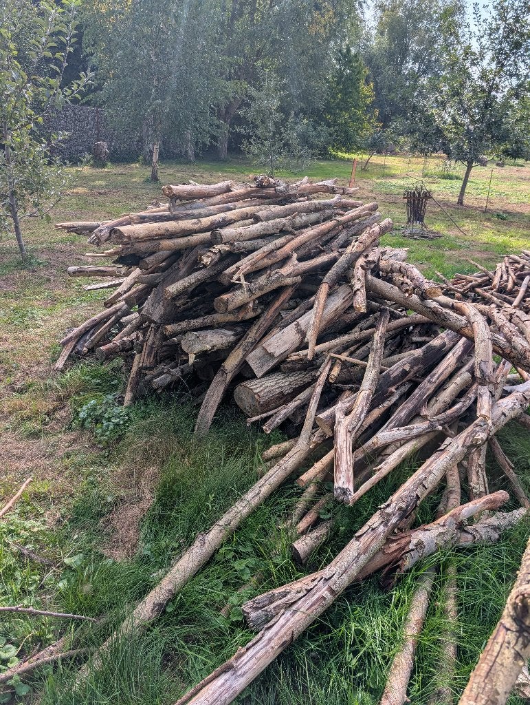 Gratis Brandhout, Tuin en Terras, 3 tot 6 m³, Ophalen, Overige houtsoorten, Takken