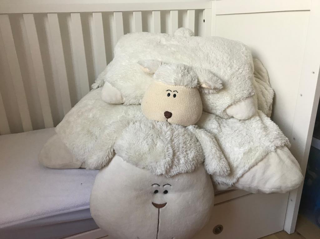 Knuffel schaap, Ophalen, Zo goed als nieuw