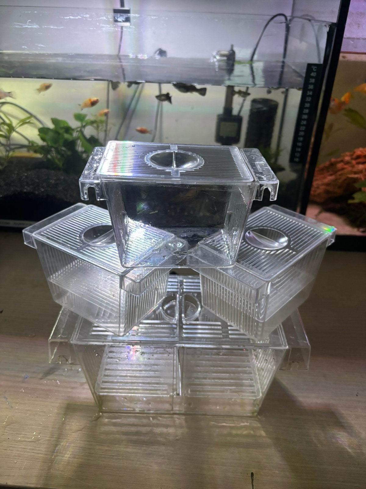 Kweekbakjes / Breeding boxes voor aquarium, Animaux & Accessoires, Enlèvement, Comme neuf