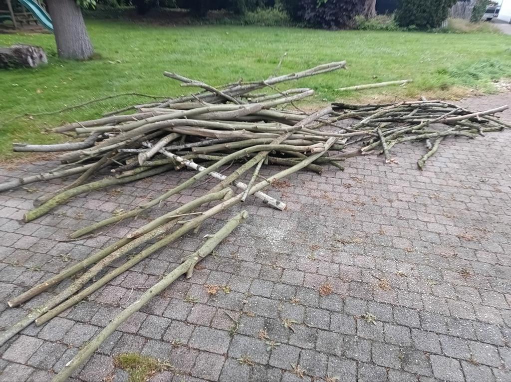 Gratis Brandhout, Tuin en Terras, Brandhout, Ophalen