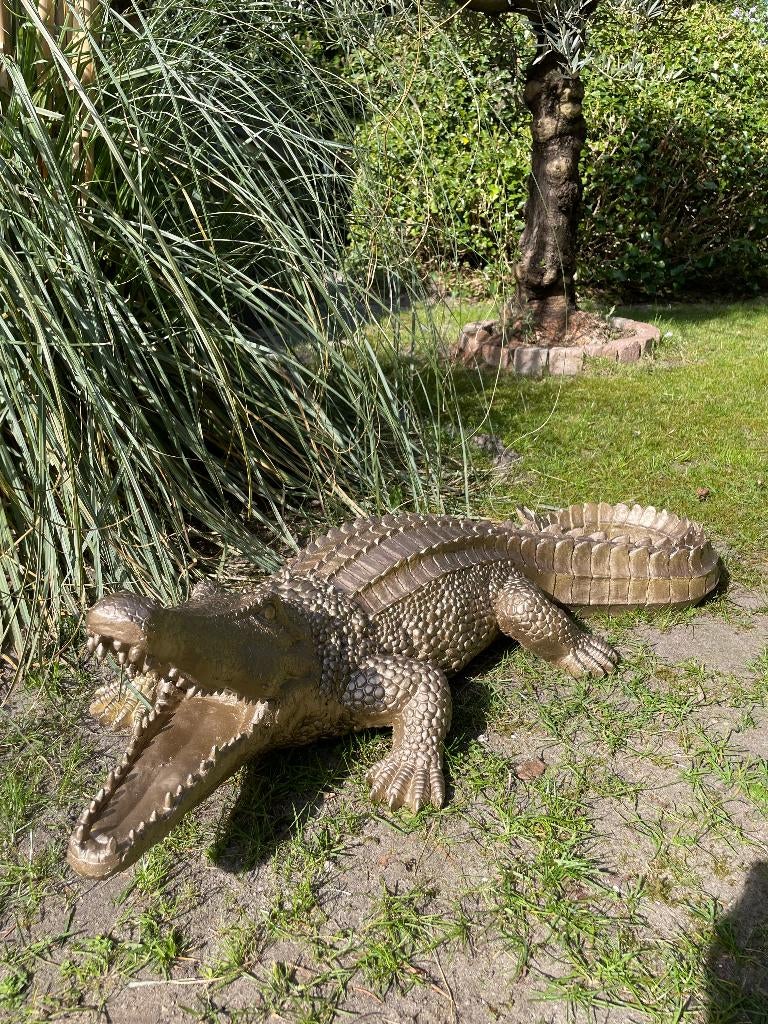 Krokodil goud, tuin, zwembad, vijver, boerderij 100cm, Tuin en Terras, Tuinbeelden, Nieuw, Dierenbeeld, Kunststof, Ophalen