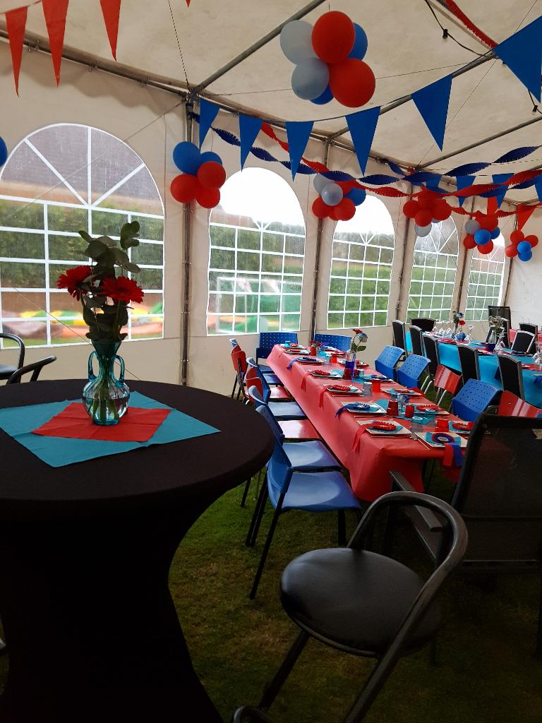 semi pro party tent van 8 x 12 meter, Tuin en Terras, Ophalen, Partytent, 6 meter of meer, Zo goed als nieuw