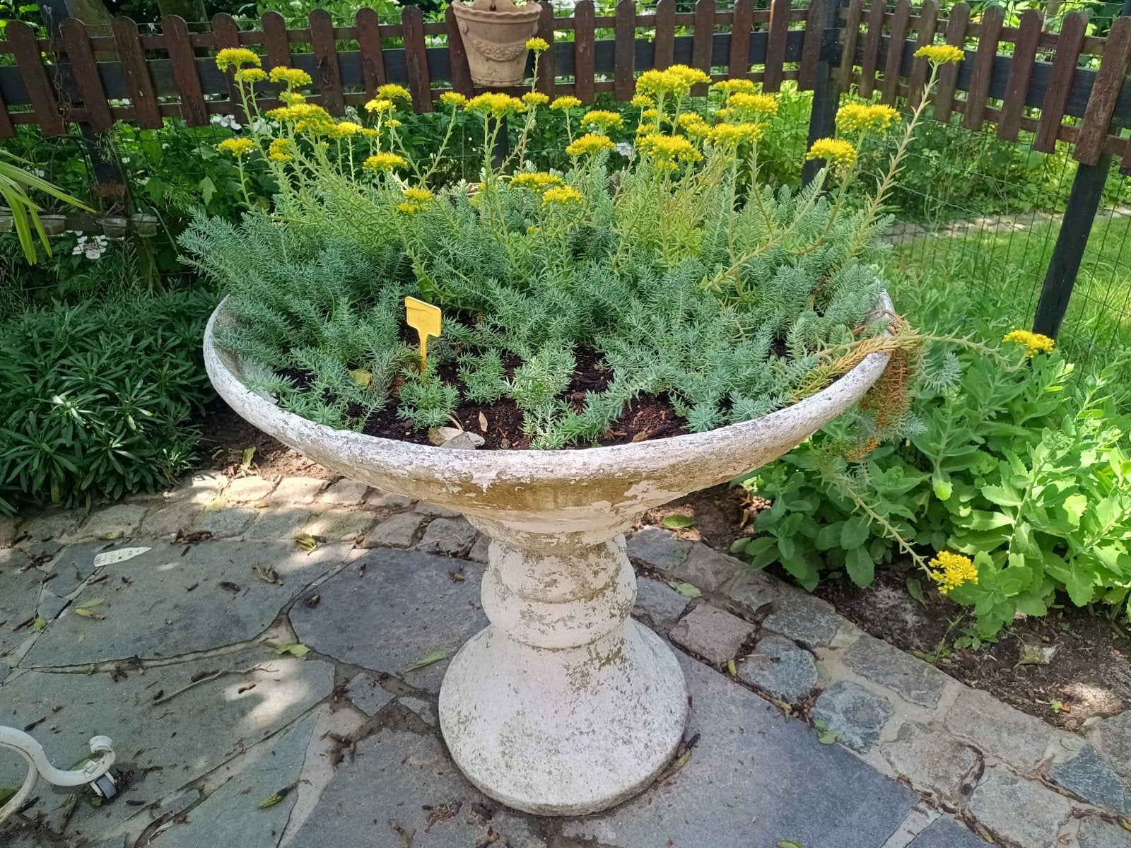 bloemenschaal op voet koppel, Tuin en Terras, Ophalen