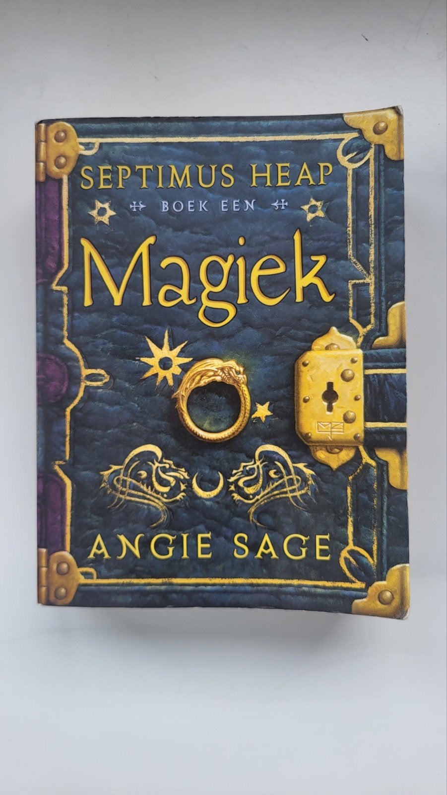 Leesboek - Magiek, Boeken, Ophalen of Verzenden, Fictie, Angie Sage, Zo goed als nieuw