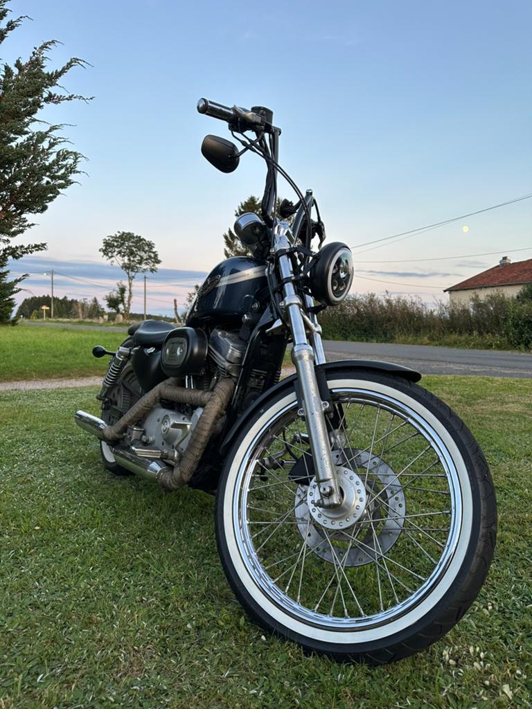 Xl 883 sportster- 100year anniversary editie te koop, Motoren, 2 cilinders, Gebruikt, 883 cc, Particulier