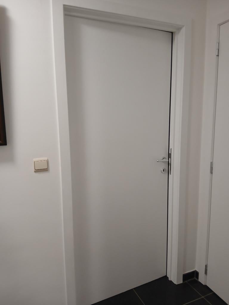 Une Porte intérieur, Planche, 200 à 250 cm, Comme neuf, Enlèvement