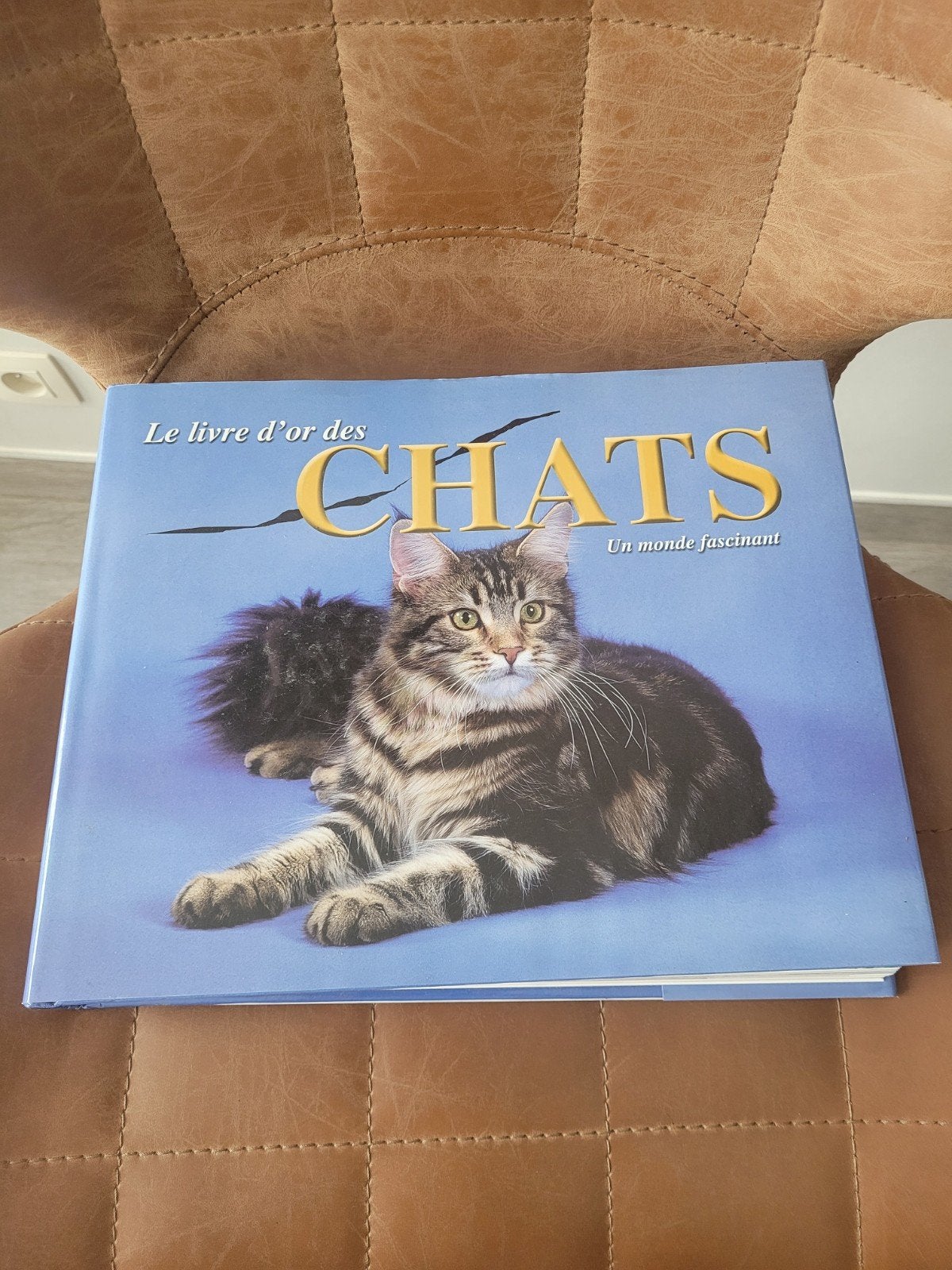 Le livre d'or des chats - Un monde fascinant, Enlèvement ou Envoi, Chats