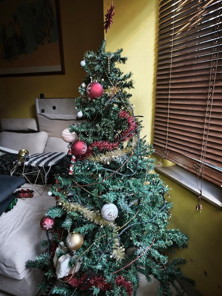Sapin de Noël a donner