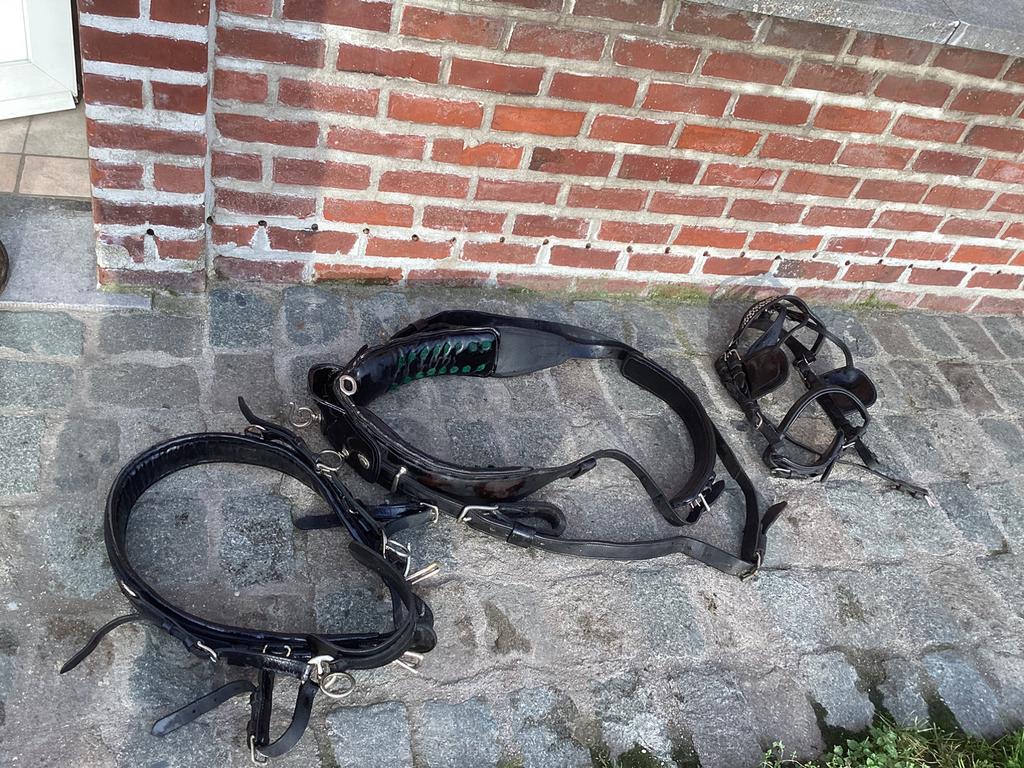 Tuig cob zonder bit en leidsels, Dieren en Toebehoren, Ophalen, Gebruikt