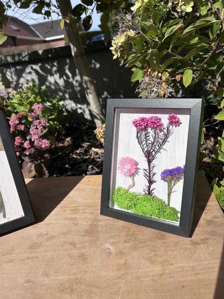Cadre de jardin, Enlèvement ou Envoi, Neuf