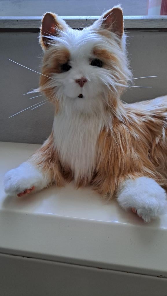 Chat mobile et miaule, Enlèvement