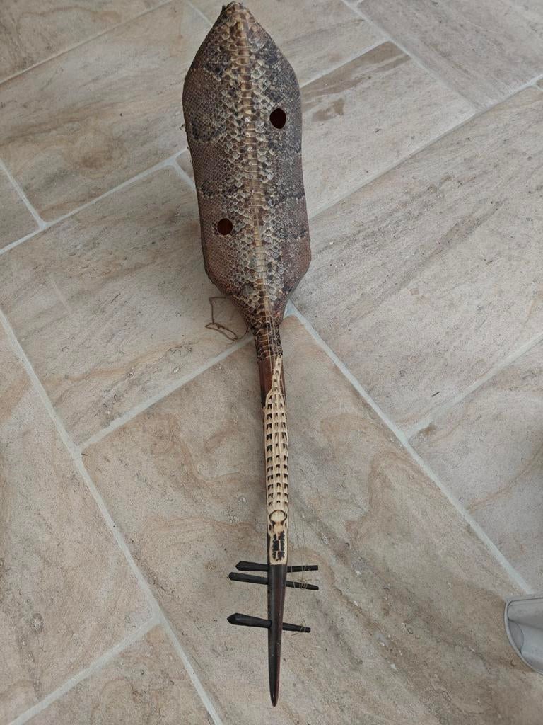 Instrument à cordes africain (ngoni/xal), Enlèvement