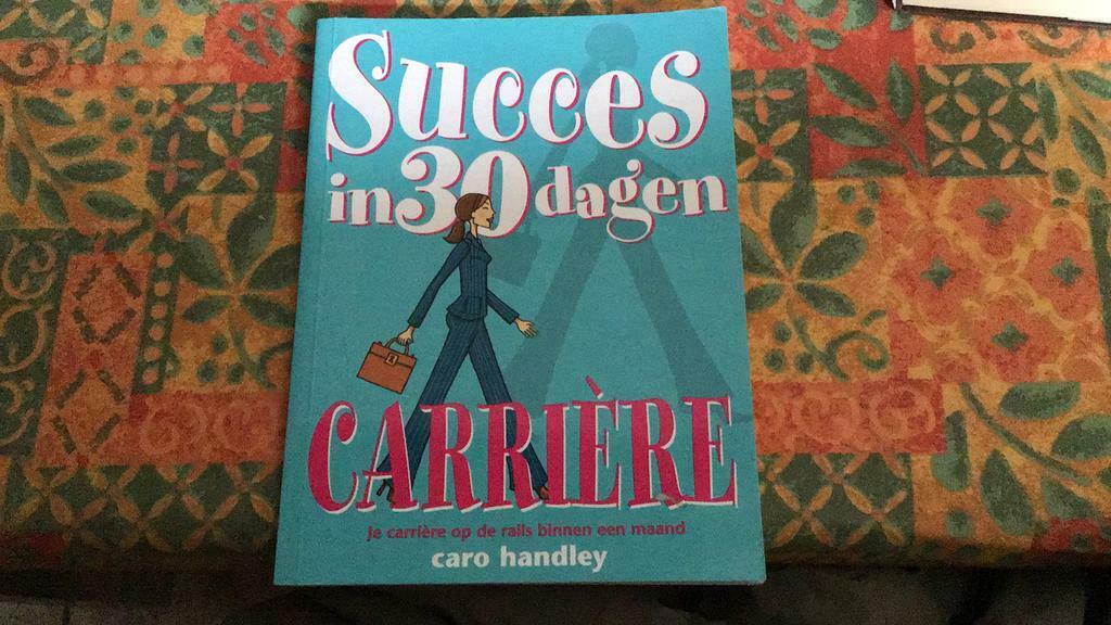 Succes in 30 dagen carrière (j), Ophalen of Verzenden, Zo goed als nieuw