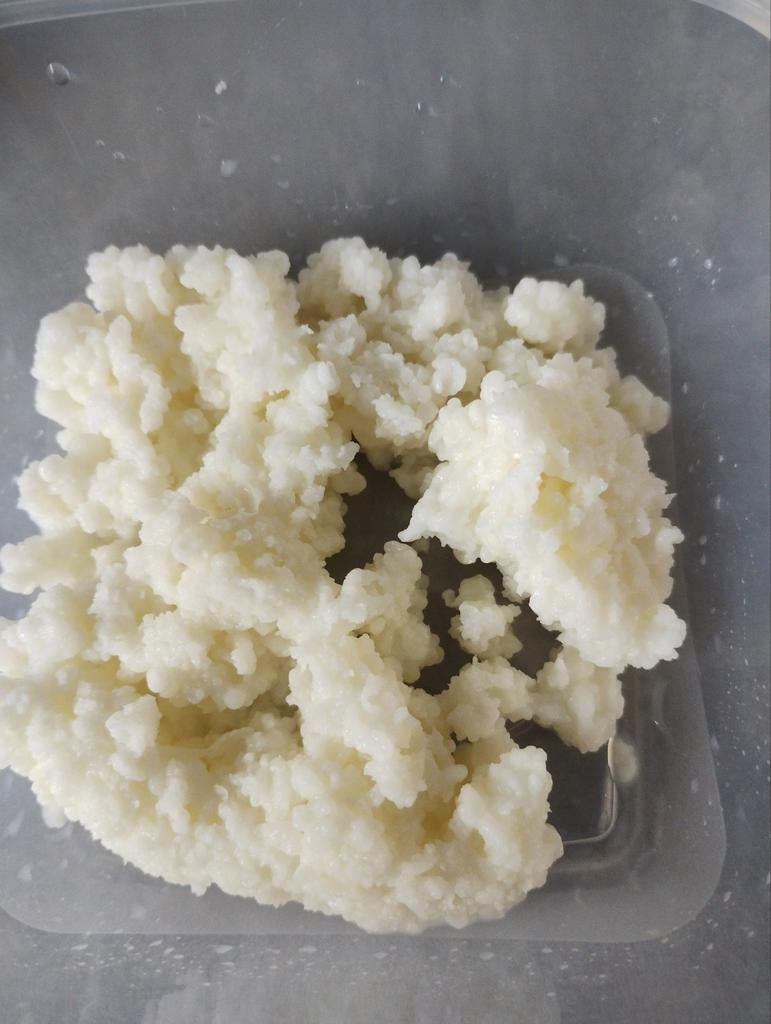 Melkkefir, Diversen, Levensmiddelen, Ophalen