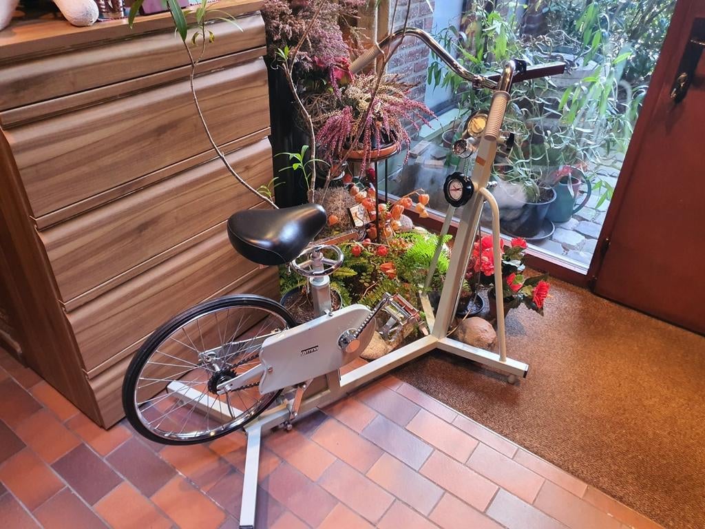 Hometrainer, Enlèvement, Comme neuf, Vélo d'appartement