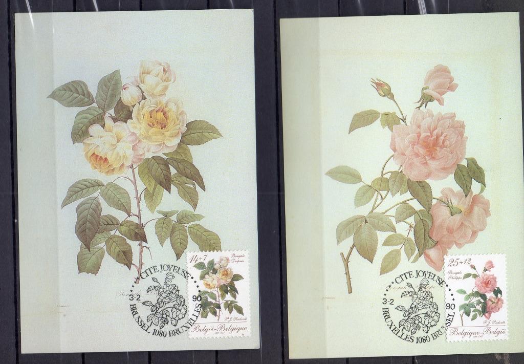 Année 1990 : Carte maximum 2353-2354 - Roses Redouté, Enlèvement ou Envoi