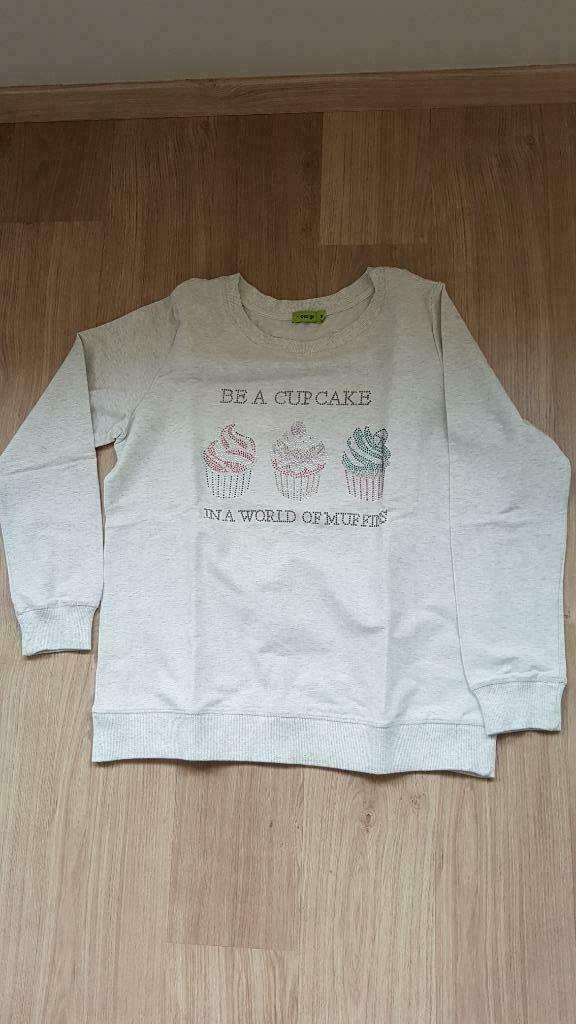 kleding  k design, Kleding | Dames, Truien en Vesten, Nieuw, Maat 46/48 (XL) of groter, Grijs, Ophalen of Verzenden