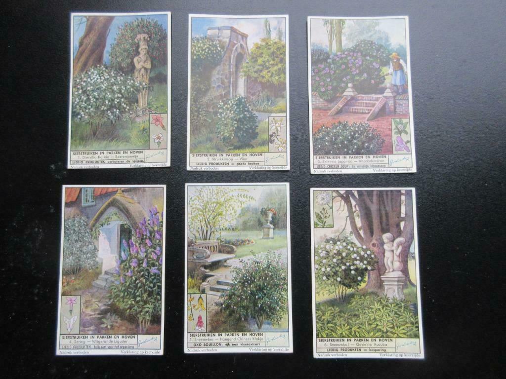Liebig imprime "Arbustes ornementaux dans les parcs et les c, Enlèvement ou Envoi, Gravure, Comme neuf, Nature