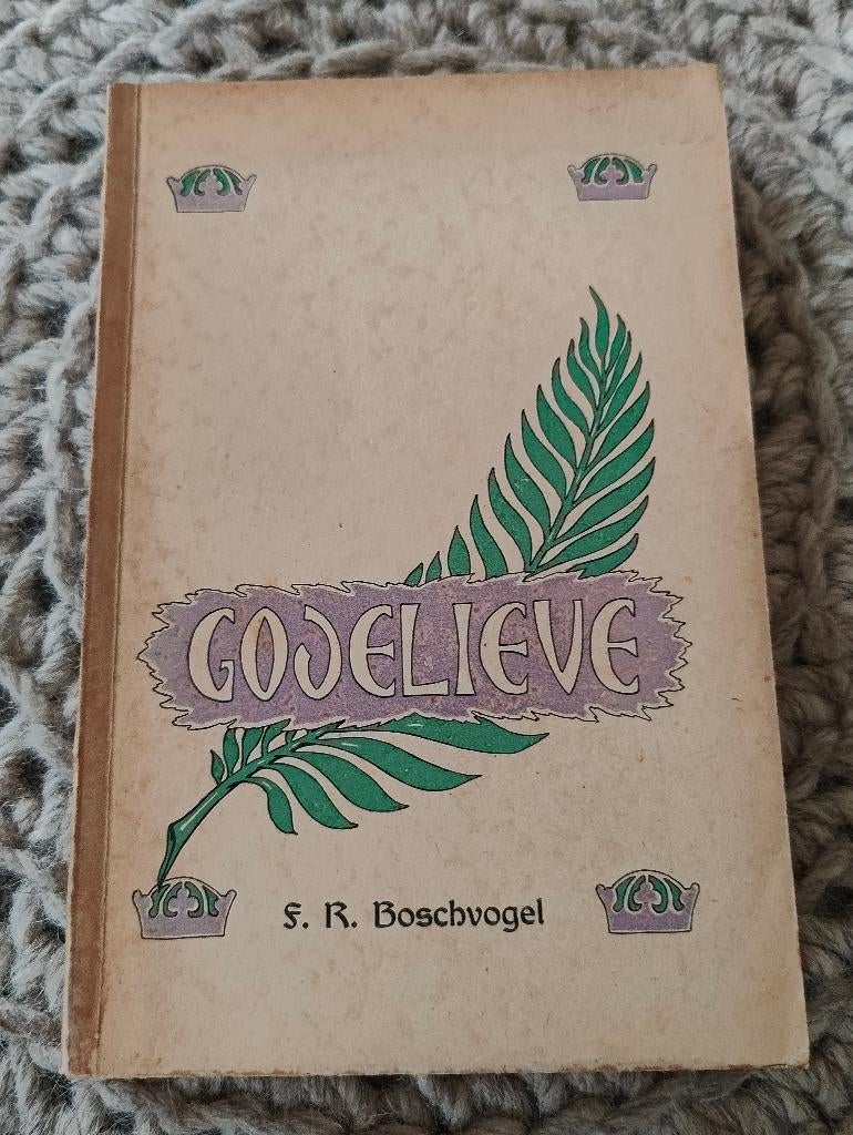 Godelieve - R.S. Boschvogel, Boeken, Ophalen of Verzenden, Gelezen